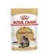 ROYAL CANIN FBN Maine Coon - Cat wet food - sachet 12x 85g
