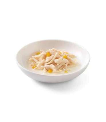 SCHESIR Chicken fillets with pumpkin in broth - wet cat food - 6x50g