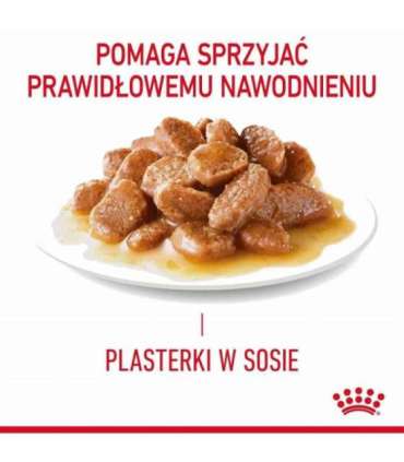 ROYAL CANIN Hair & Skin Care - wet cat food - 12x85g