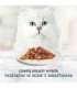 Purina GRMT PERLE GIGMV BEEF CRT cats moist food 85 g