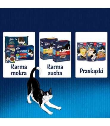 Felix Fanstastic Junior - wet cat food - 85 g