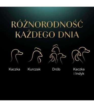 SHEBA Selection Select Slices Poultry Flavours - wet cat food - 40 x 85g