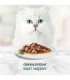Purina 7613037552300 cats moist food 85 g