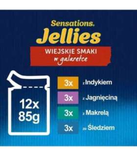 Purina Felix Sensations Mix Turkey, Mackerel, Lamb, Herring - Wet Cat Food - 12x85 g