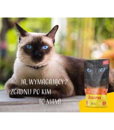 JOSERA Chicken Filet - wet cat food - 70 g