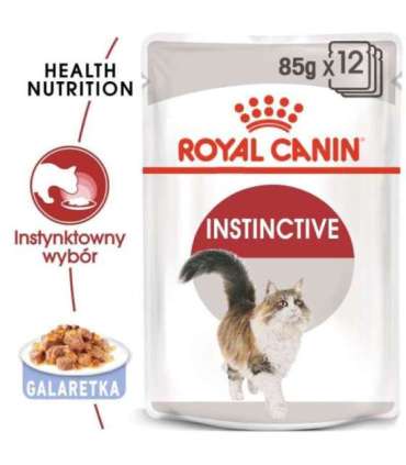 ROYAL CANIN FHN Instinctive in jelly - wet food for adult cats - 12x85g