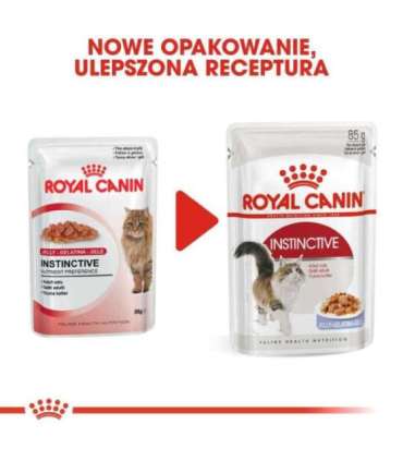 ROYAL CANIN FHN Instinctive in jelly - wet food for adult cats - 12x85g
