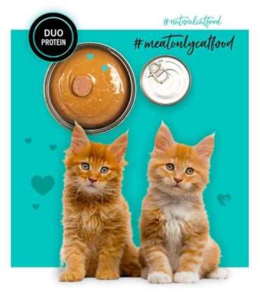3COTY Chicken with duck For kittens - wet cat food - 80g