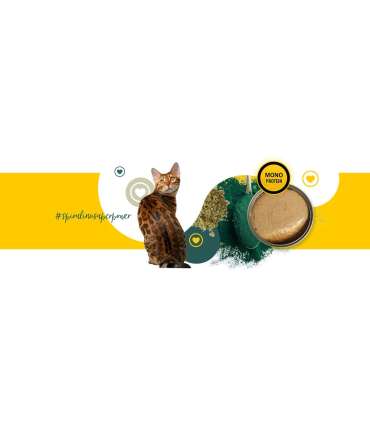 3COTY Chicken with spirulina Senior - wet cat food - 80g