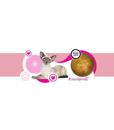 3COTY Cheers! 62. Turkey - wet cat food - 160g