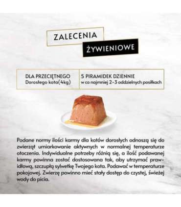 PURINA Gourmet Revelations Salmon - wet cat food - 2x57 g