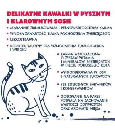 TEO Rich in beef - wet cat food - 850g