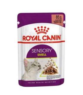 ROYAL CANIN Sensory Smell - wet cat food - 12x85g