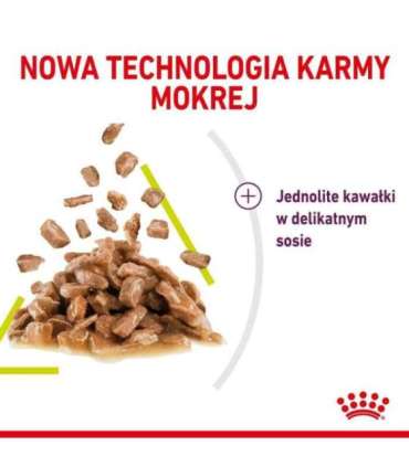 ROYAL CANIN Sensory Smell - wet cat food - 12x85g
