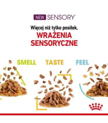 ROYAL CANIN Sensory Smell - wet cat food - 12x85g