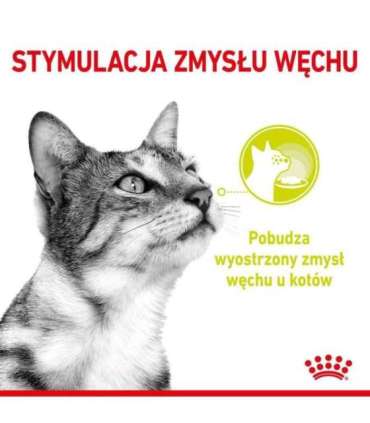 ROYAL CANIN Sensory Smell - wet cat food - 12x85g