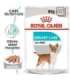 Royal Canin CCN Urinary Care Loaf - wet food for adult dogs - 12x85g