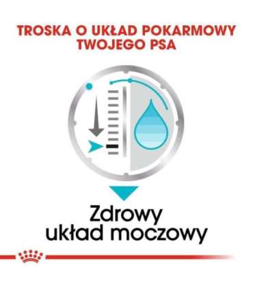 Royal Canin CCN Urinary Care Loaf - wet food for adult dogs - 12x85g