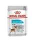 Royal Canin CCN Urinary Care Loaf - wet food for adult dogs - 12x85g