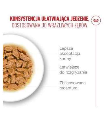 ROYAL CANIN Ageing 11+ Chunks in gravy - wet cat food - 12x85g