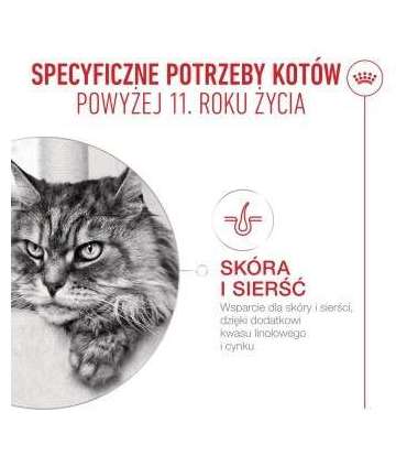 ROYAL CANIN Ageing 11+ Chunks in gravy - wet cat food - 12x85g