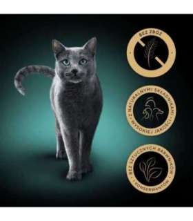 SHEBA Nature's Collection Poultry Flavors in jelly - wet cat food - 40 x 85g