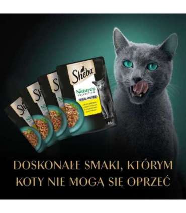 SHEBA Nature's Collection Poultry Flavors in jelly - wet cat food - 40 x 85g