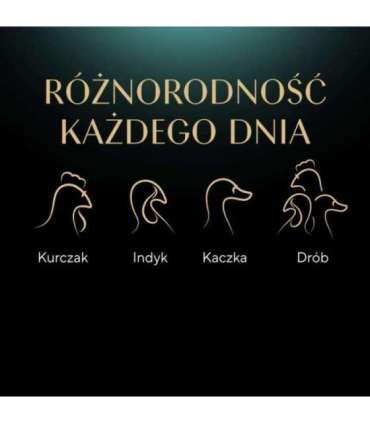 SHEBA Nature's Collection Poultry Flavors in jelly - wet cat food - 40 x 85g