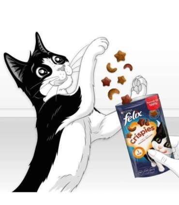 FELIX Crispies Beef, Chicken - dry cat food - 45 g