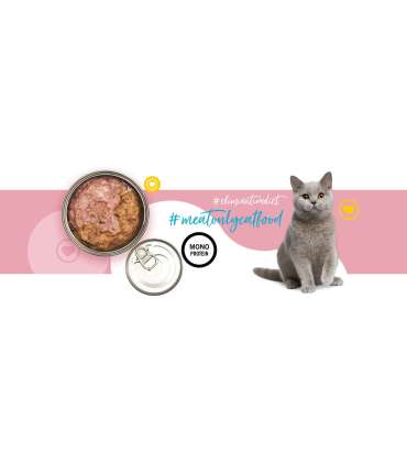 3COTY 07. Turkey - wet cat food - 180g