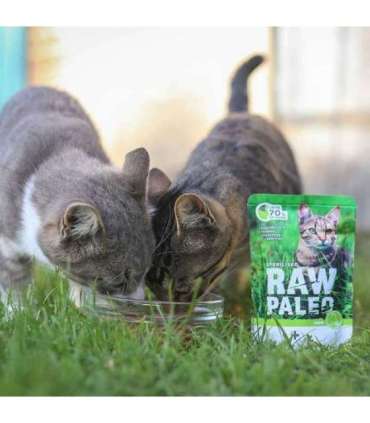 RAW PALEO Adult Cat Sterilised Game - wet cat food - 100 g