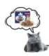 PREVITAL Cat Food Megabox with Lamb, Beef, Rabbit, and Chicken in Gravy - Wet Cat Food - 24 x 100g