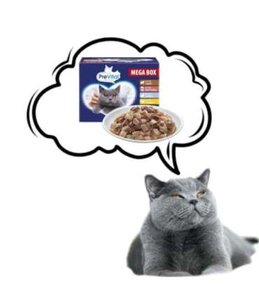 PREVITAL Cat Food Megabox with Lamb, Beef, Rabbit, and Chicken in Gravy - Wet Cat Food - 24 x 100g