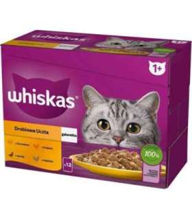 WHISKAS sachet jelly poultry, duck, turkey, chicken - wet cat food - 12x85 g