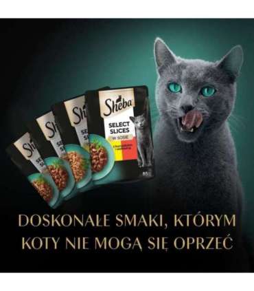 Sheba Selection in Sauce Juicy Flavours 12 x 85 g