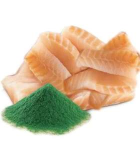 SHELMA with cod in sauce - wet cat food - 85g