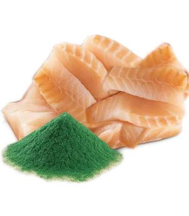 SHELMA with cod in sauce - wet cat food - 85g