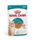 ROYAL CANIN Ageing 15+ Chunks in gravy - wet cat food - 12x85g