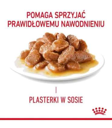 ROYAL CANIN Urinary Care in Gravy 12x85g