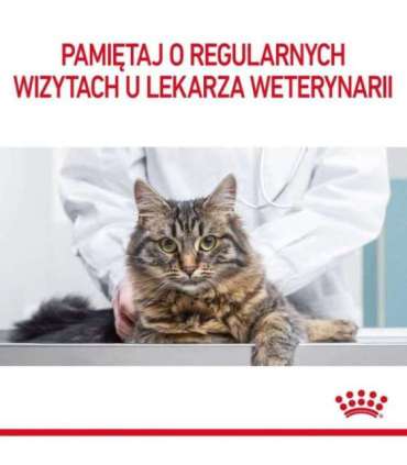 ROYAL CANIN Urinary Care in Gravy 12x85g