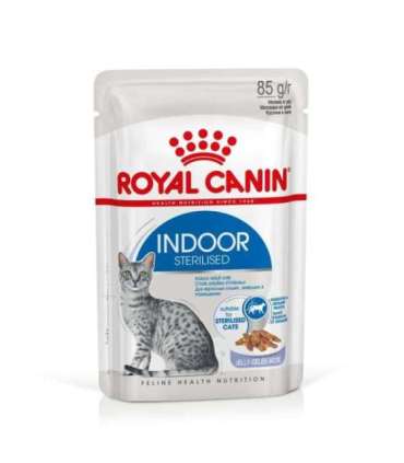 ROYAL CANIN FHN Indoor jelly - wet food for adult cats - 12x85g