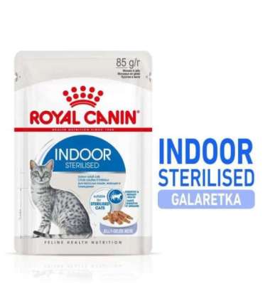 ROYAL CANIN FHN Indoor jelly - wet food for adult cats - 12x85g