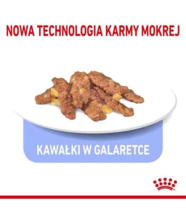 ROYAL CANIN FHN Indoor jelly - wet food for adult cats - 12x85g