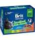 BRIT Premium Cat Sterilised Plate - wet cat food - 12x100g