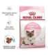 Royal Canin Mother & Babycat cats dry food 4 kg Adult Poultry