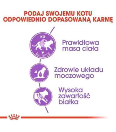 ROYAL CANIN Sterilised - dry cat food - 2 kg