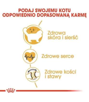 Royal Canin FBN Ragdoll Adult dry cat food 2 kg