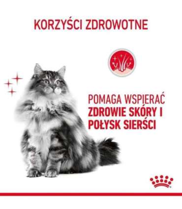 Royal Canin Hair & Skin Care Adult dry cat food 2 kg