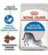Royal Canin FHN Indoor - dry food for adult cats - 4kg