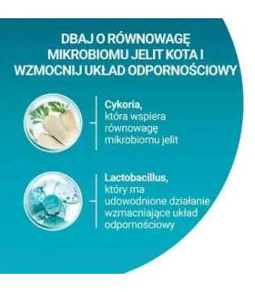 PURINA One Sterilcat Wołowina - dry cat food - 9,75kg